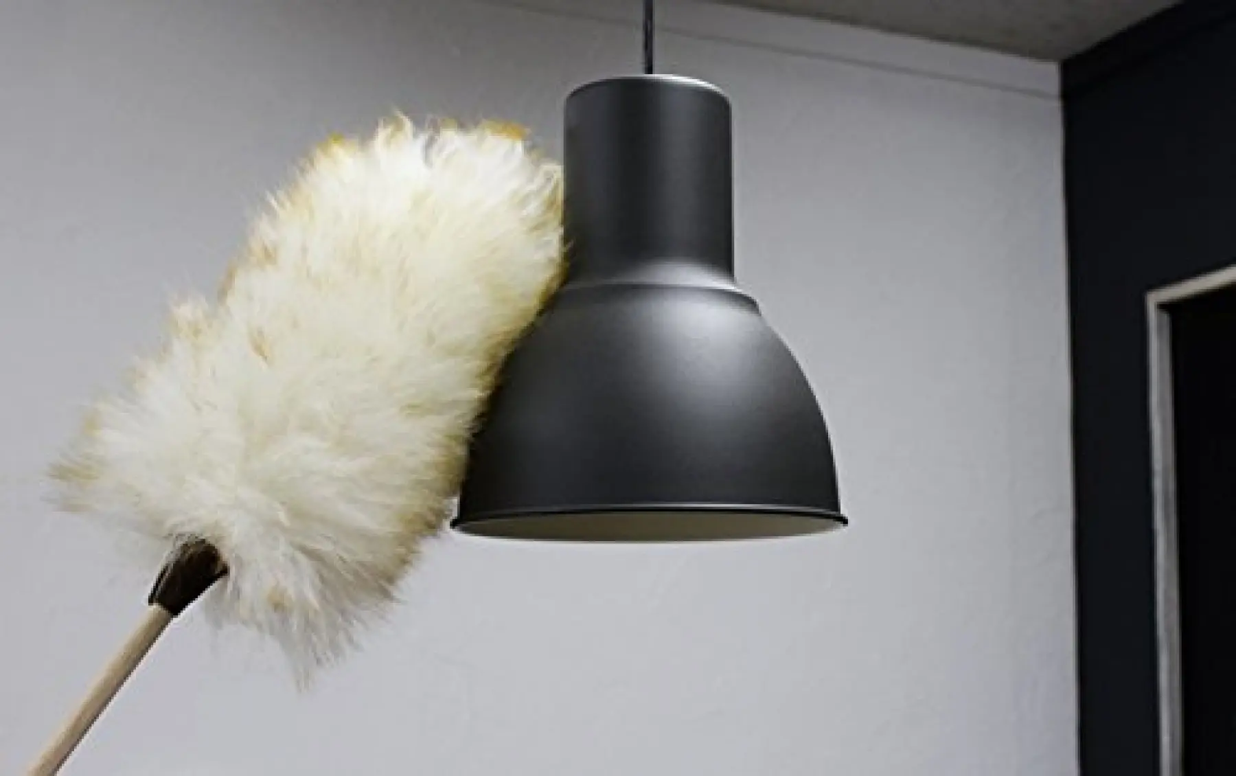 Dust Pendant Shades