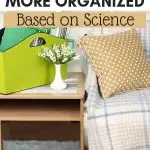 reasons to be organized
