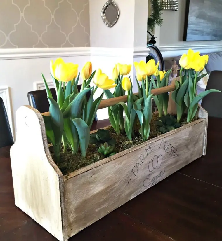 Egg Box with Tulips