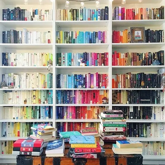 color coded bookshelf