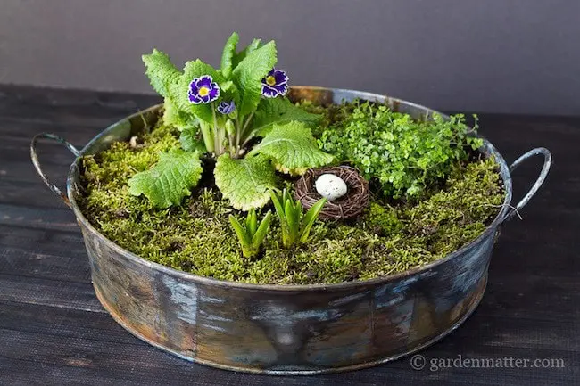 Moss Garden Spring Centerpiece