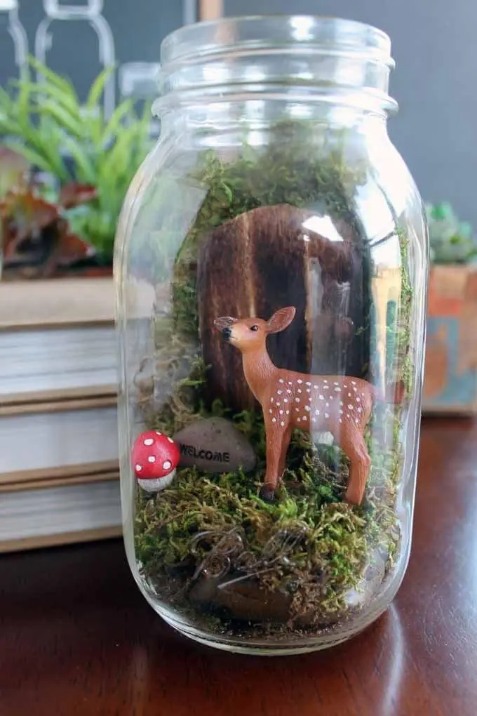 Terrarium