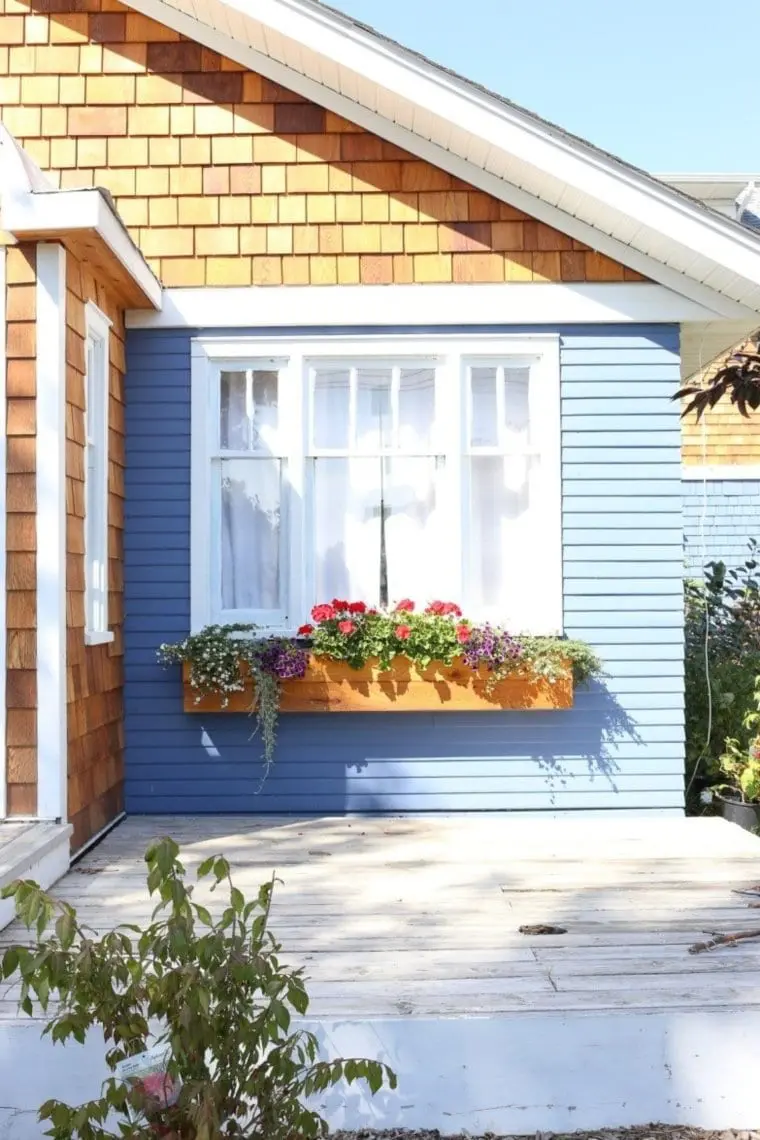 Window Boxes