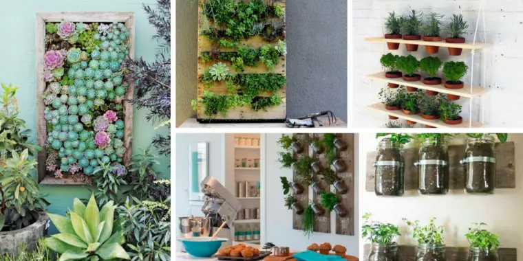 Vertical Garden