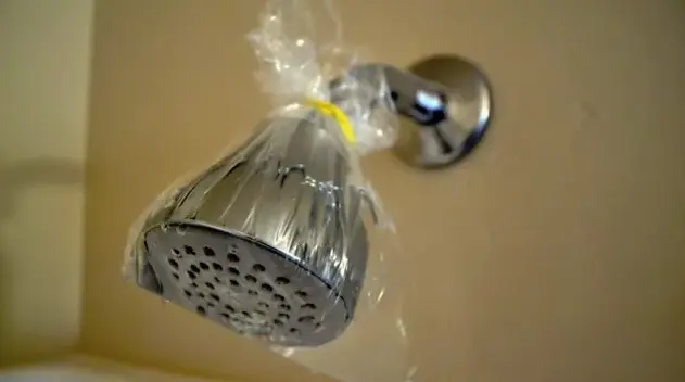 clean shower head