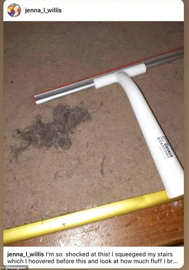 carpet squeegee