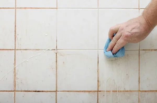 bathroom steamer