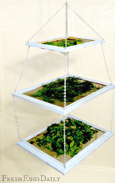 herb drying rack