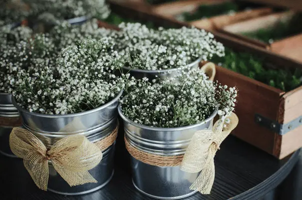 SOCKER Plant Pots for Flowers