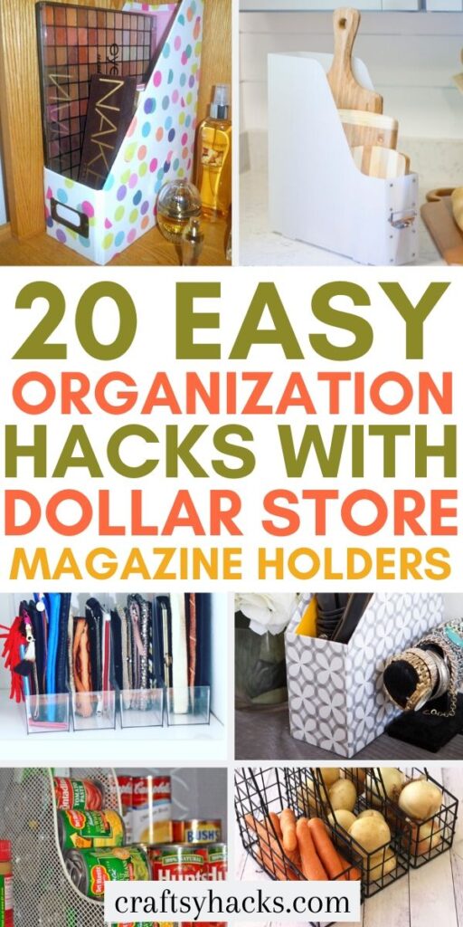 dollar storeorganization with magazine holders