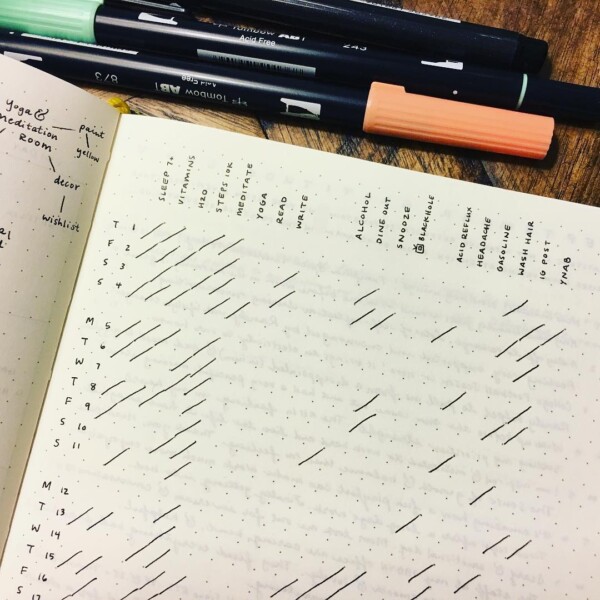 25 Minimalist Bullet Journal Spreads for Non-Artists - Craftsy Hacks