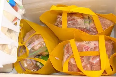 shopping bags in freezer