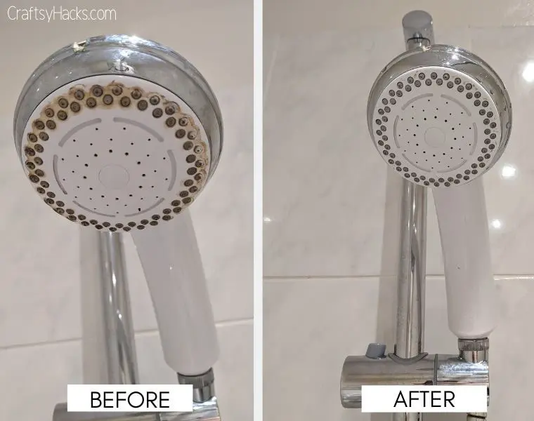 shower head cleaning