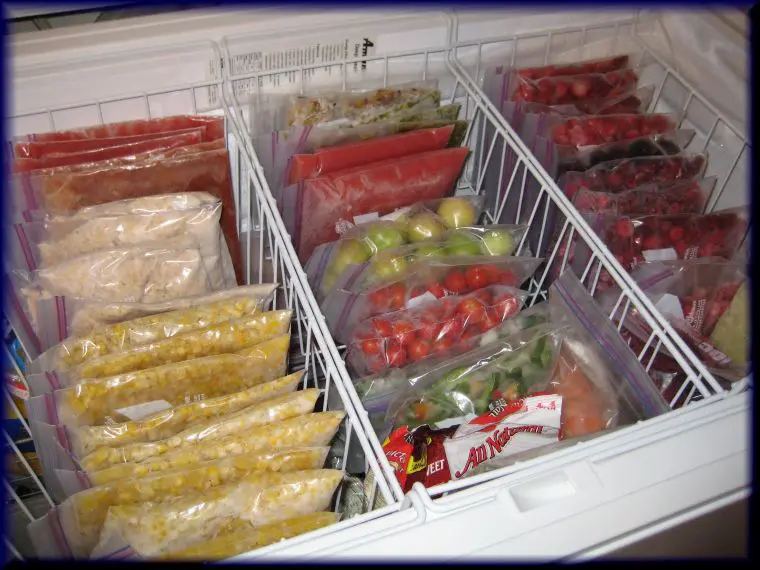 ziplock bags in freezer