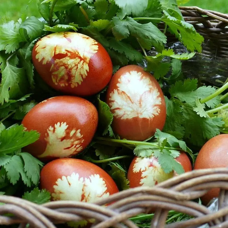 Naturally Dyed Easter Eggs