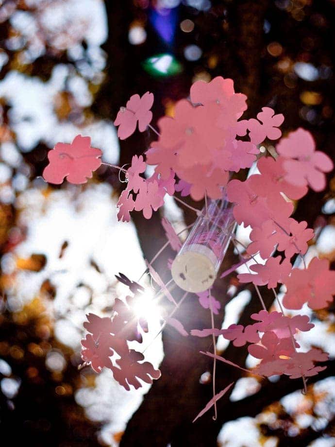 Cherry Blossoms Lantern