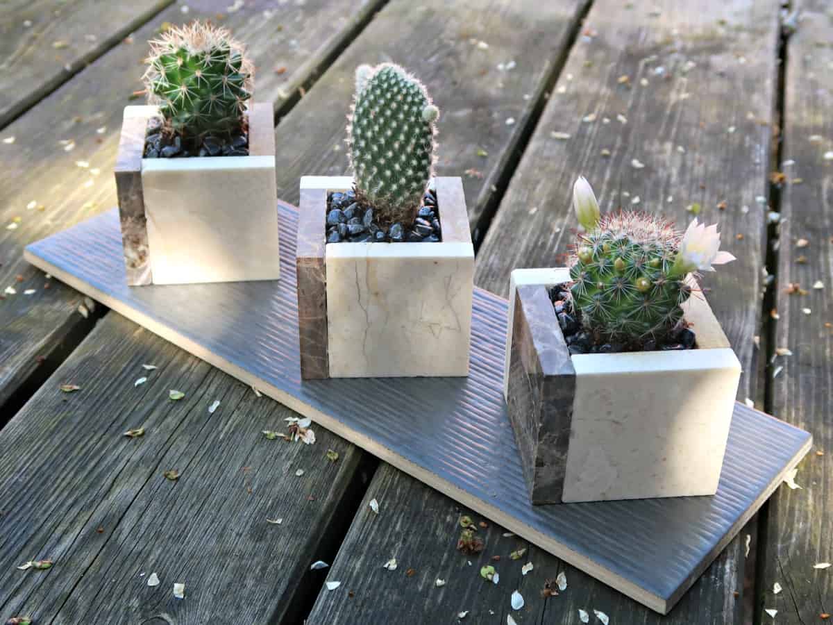 Indoor Ceramic Mini Planters