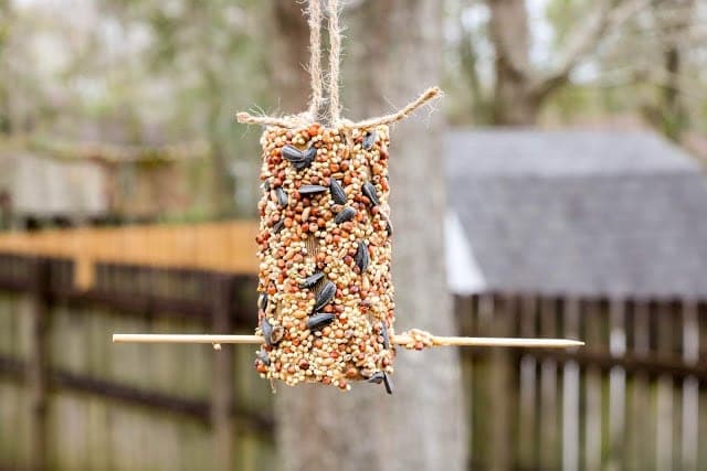 hanging bird feeder