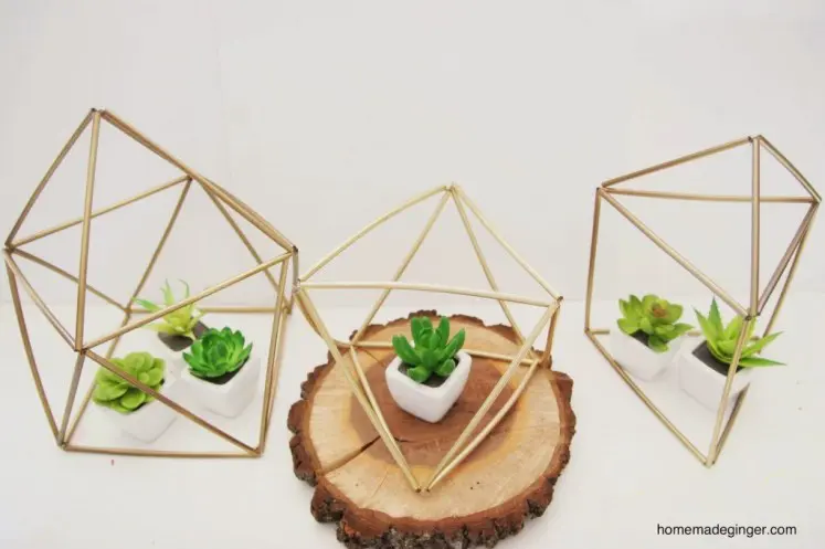 Geometric Straw Planters