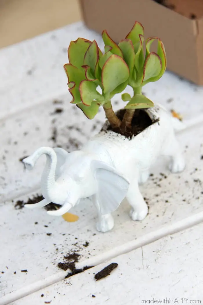 Quirky Dollar Store Planters