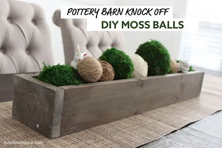 Moss Balls