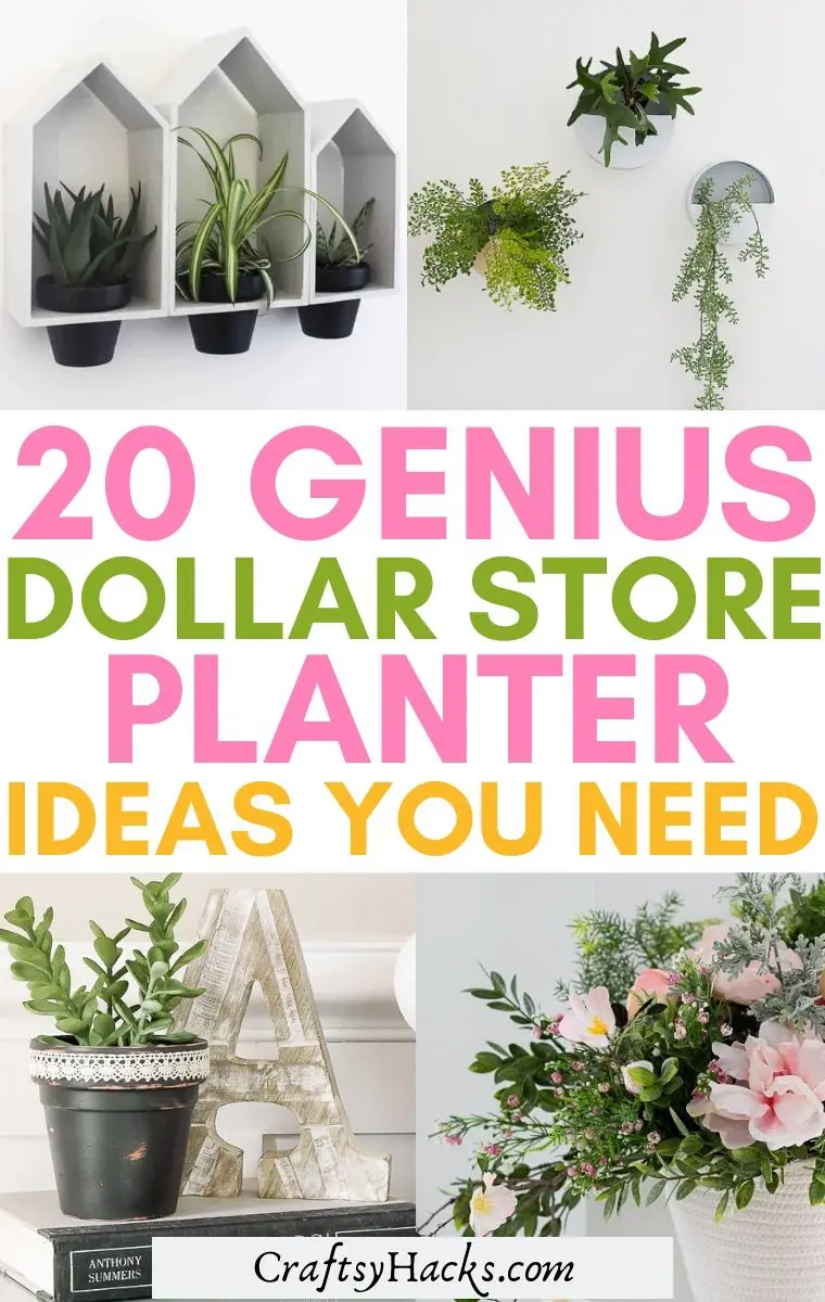 20 Genius Dollar Store Planter Ideas   Craftsy Hacks