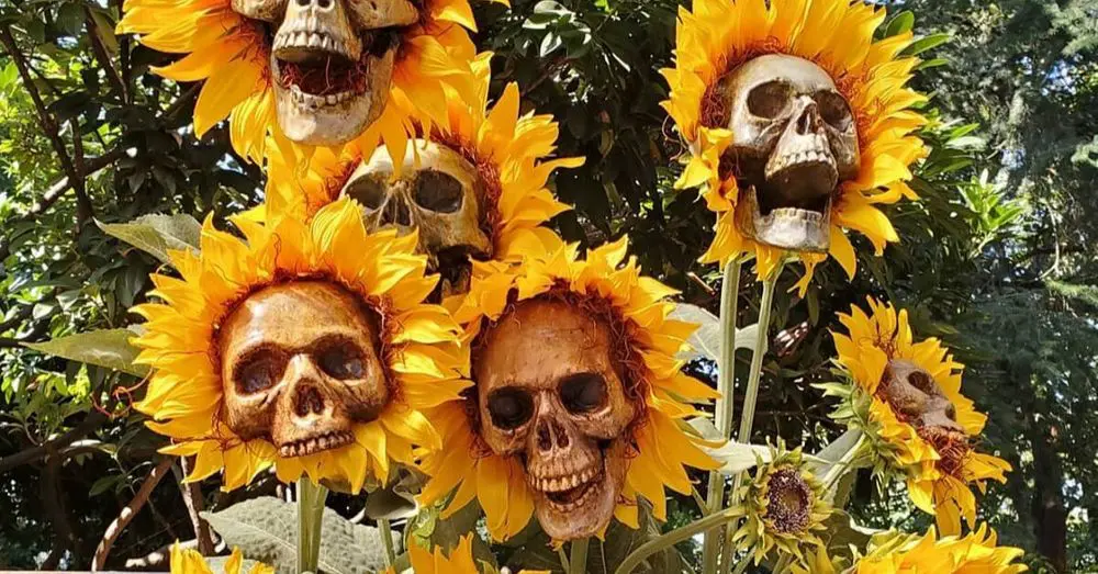 Sunflower Skulls