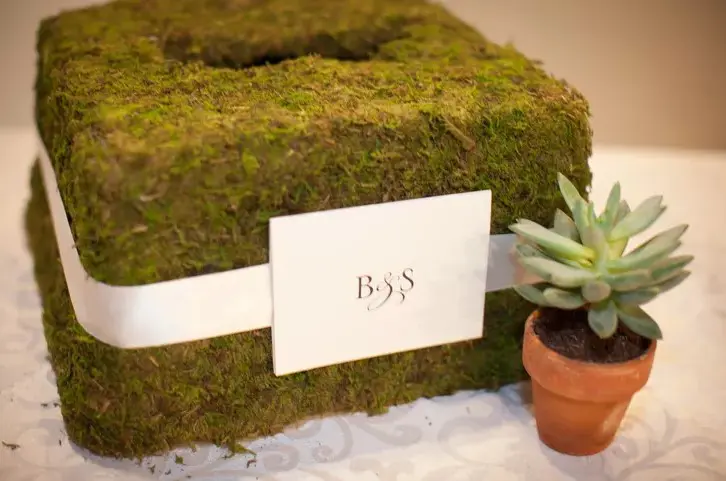 DIY Moss Bed