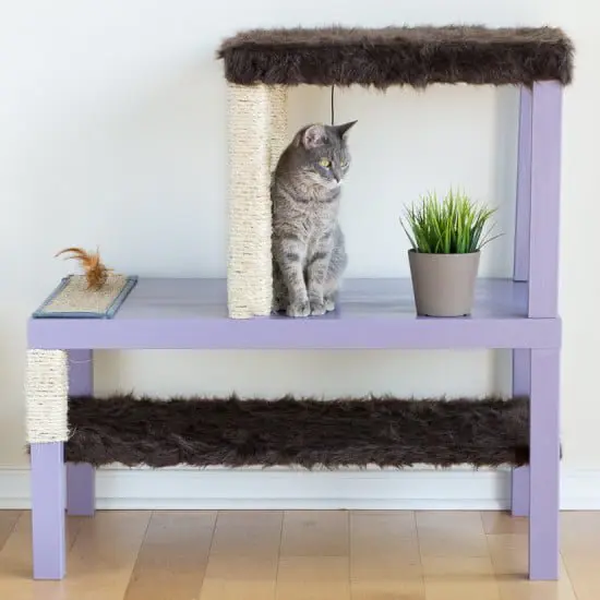 diy cat entertainment unit