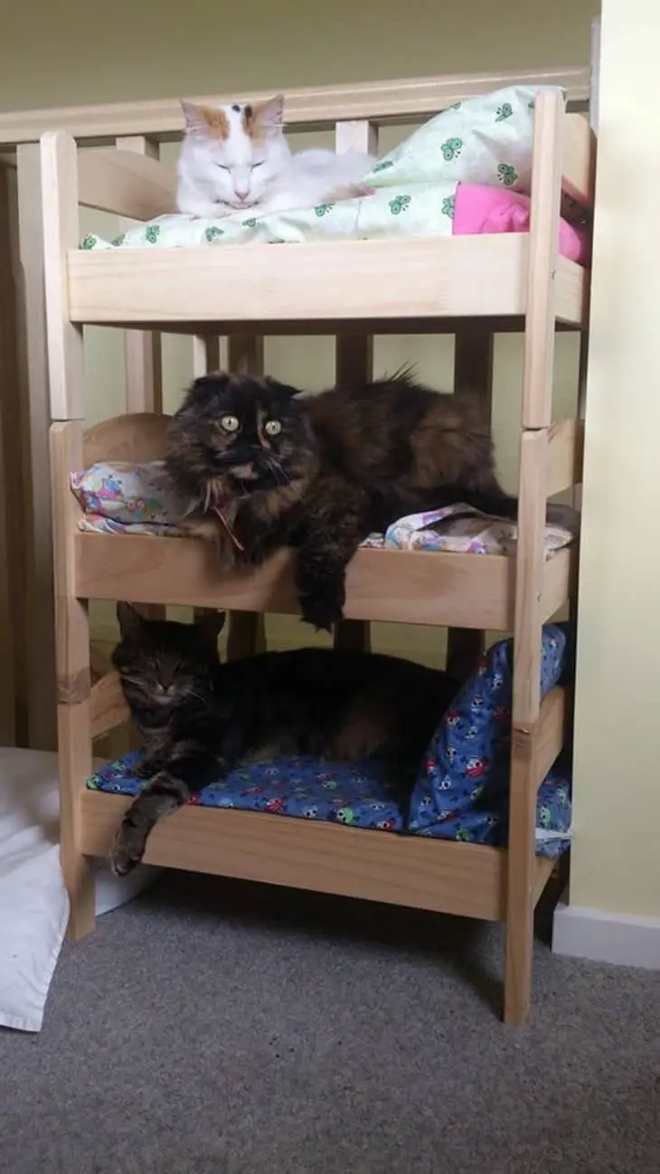 DIY wood project – Blocking cats from hiding under the bed and couch