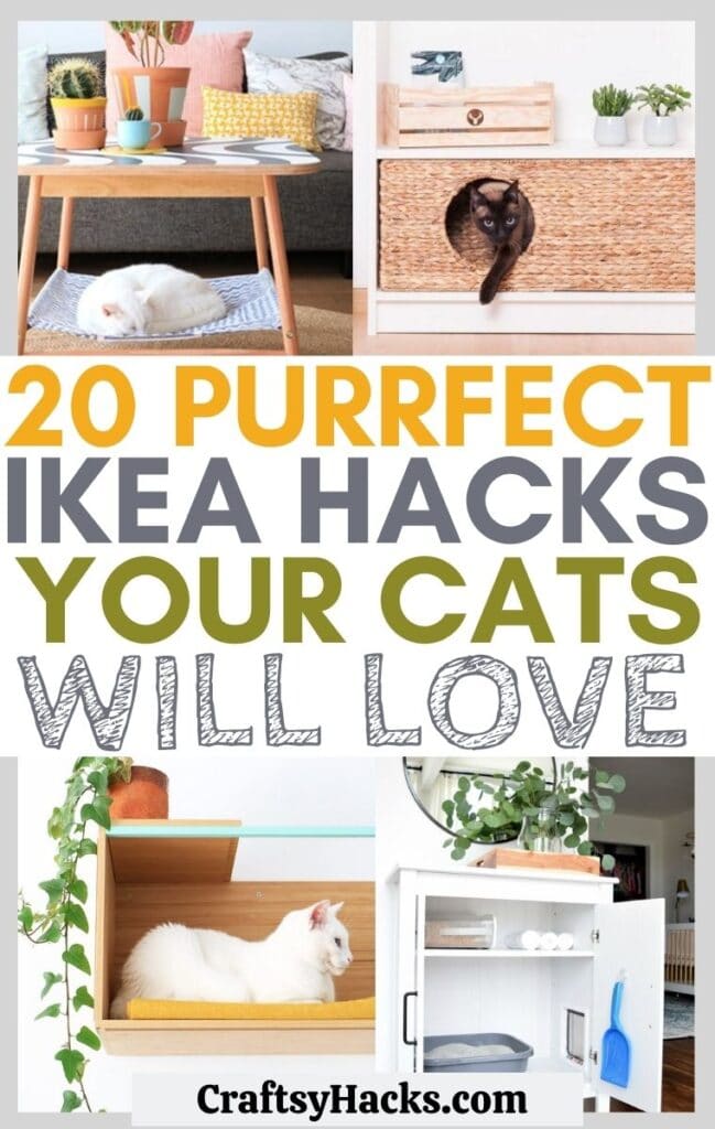 Small Apartment Cat Hacks