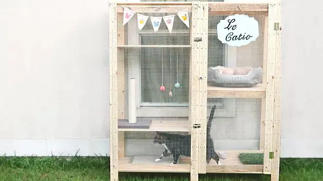 diy catio