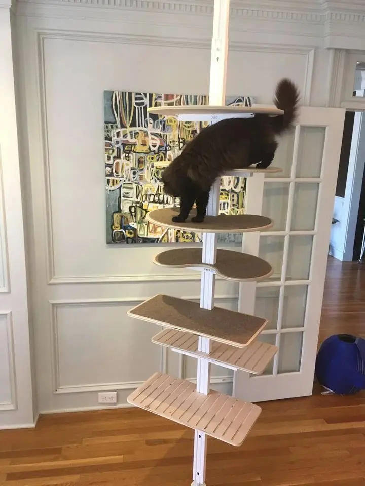 DIY Minimalist Cat Tree