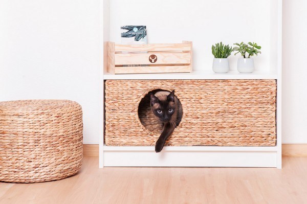 wicker cat cubby