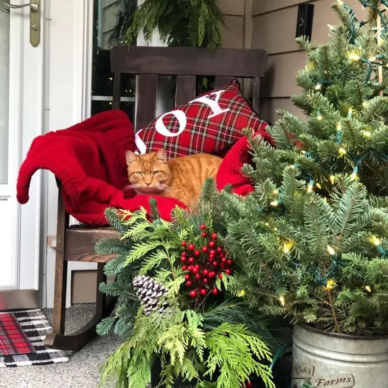 cozy porch sitting area