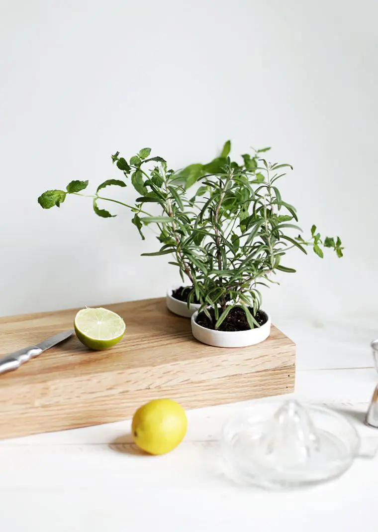 Herb Planter Cutting Board