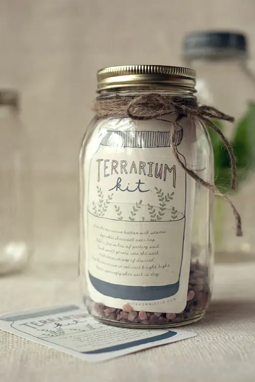 Terrarium Kit