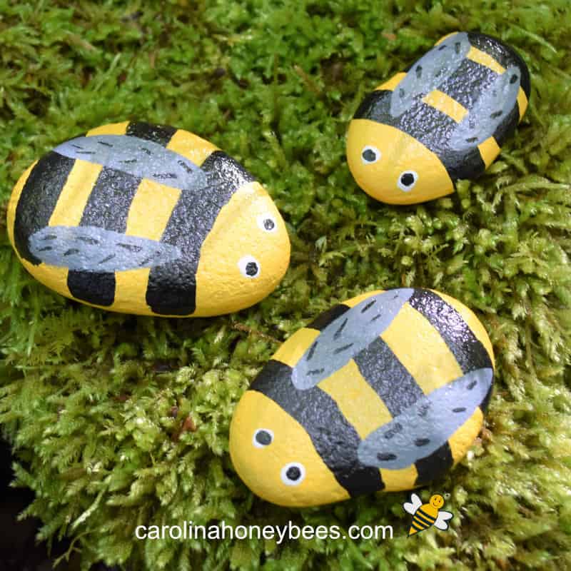 DIY Bee Rock Pets