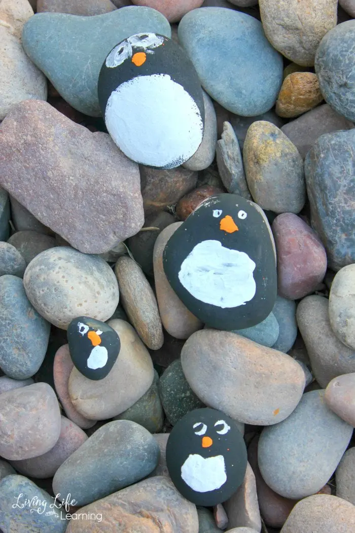 Penguin Rock Pets