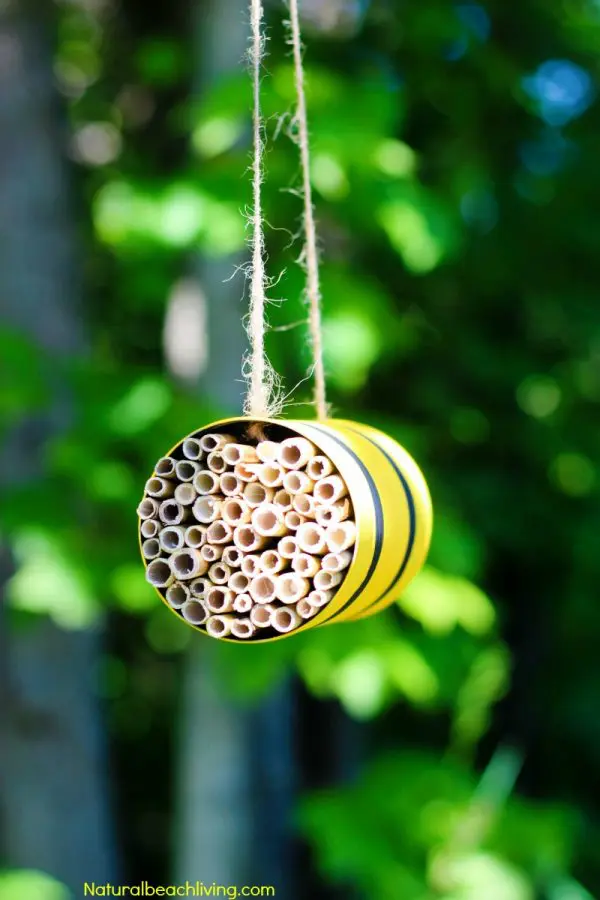 Mason Bee Habitat