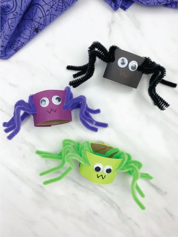 Toilet Paper Roll Spiders