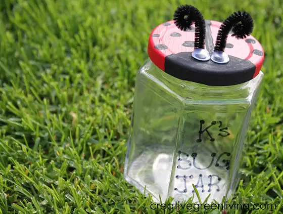 Recycled Ladybug Catcher Jar