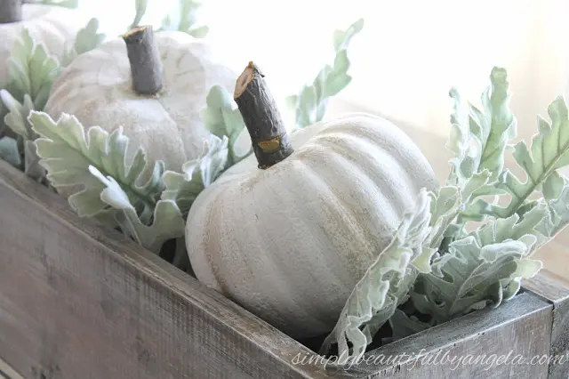 Pumpkin-in-a-Crate Centrepiece