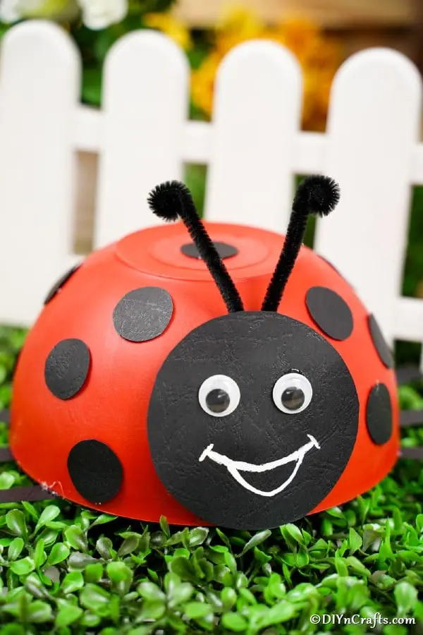 Upcycled Ladybug Bowl