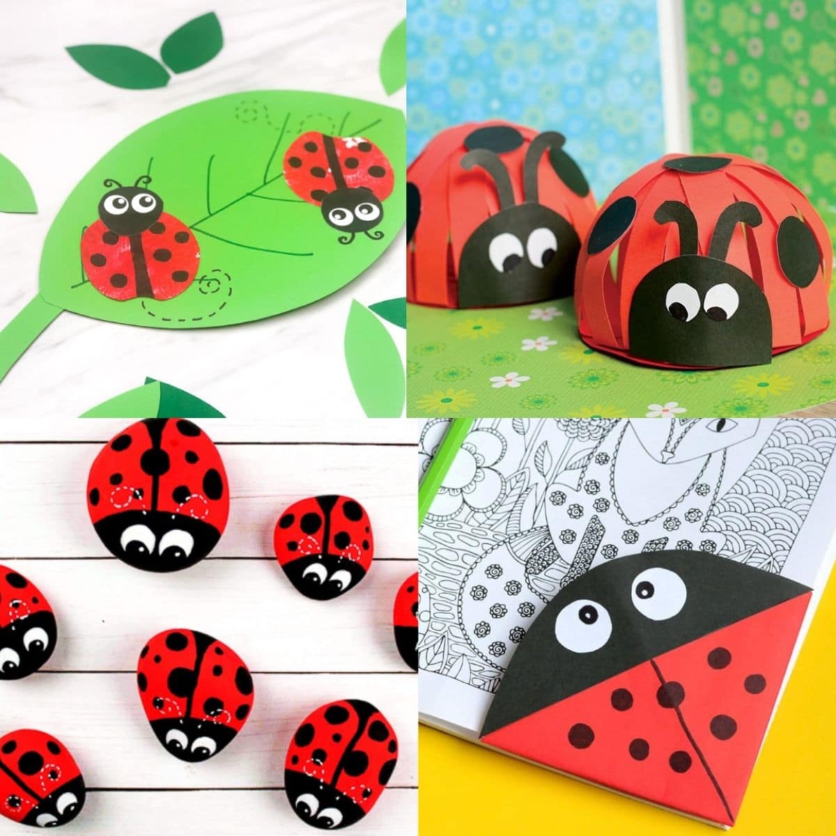 Construction Paper Ladybug on a Leaf - Easy Peasy and Fun