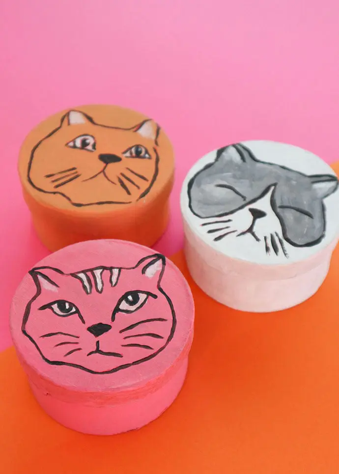 Cat Gift Boxes