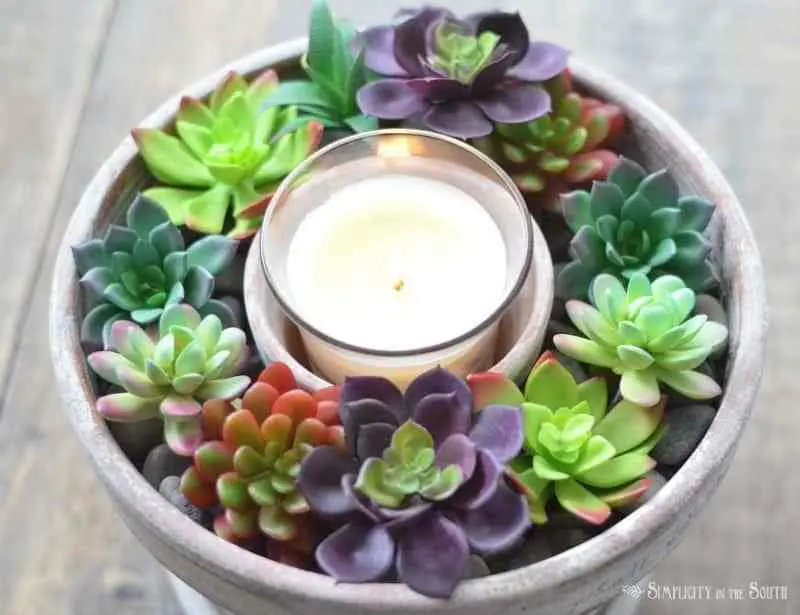 Succulents and Candle Centrepiece
