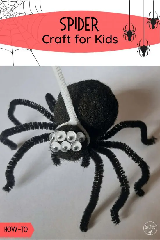 pet pipecleaner spider