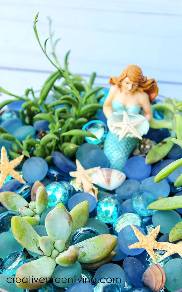 Mermaid Succulent Garden