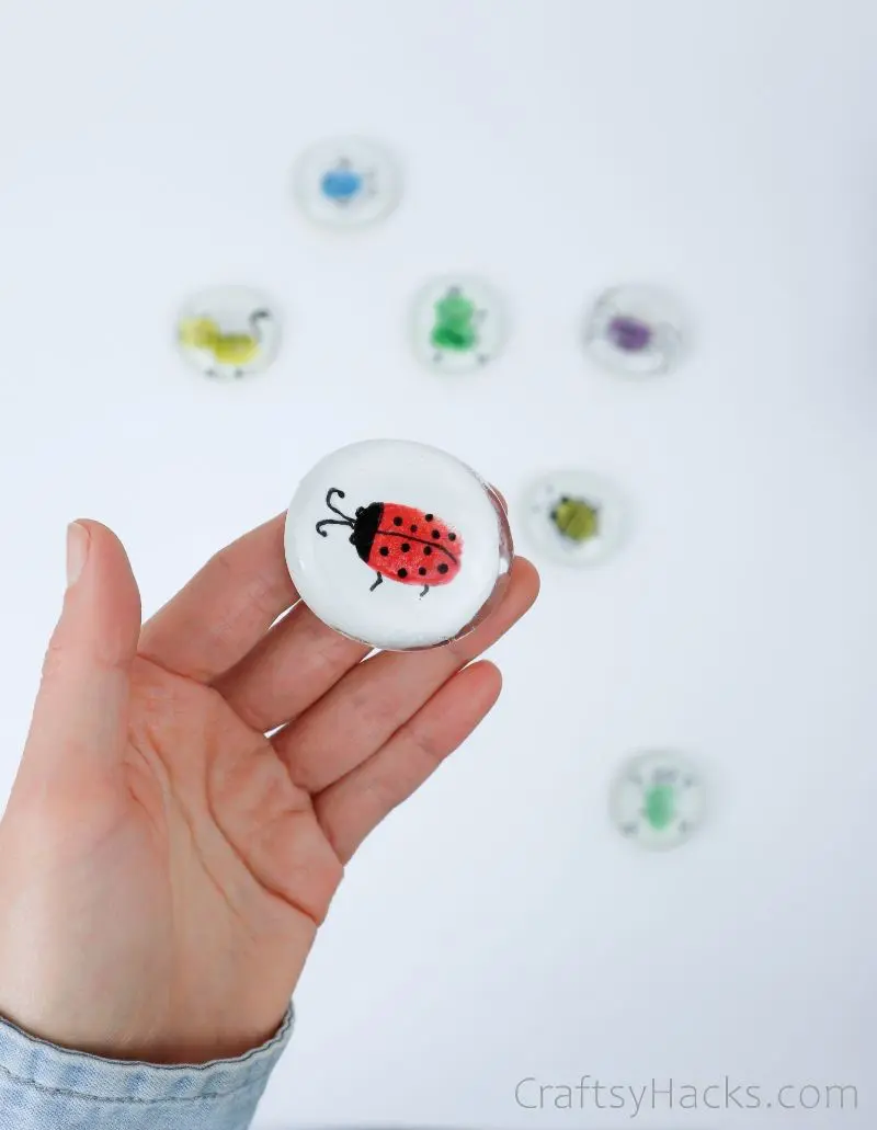holding ladybug glass magnet